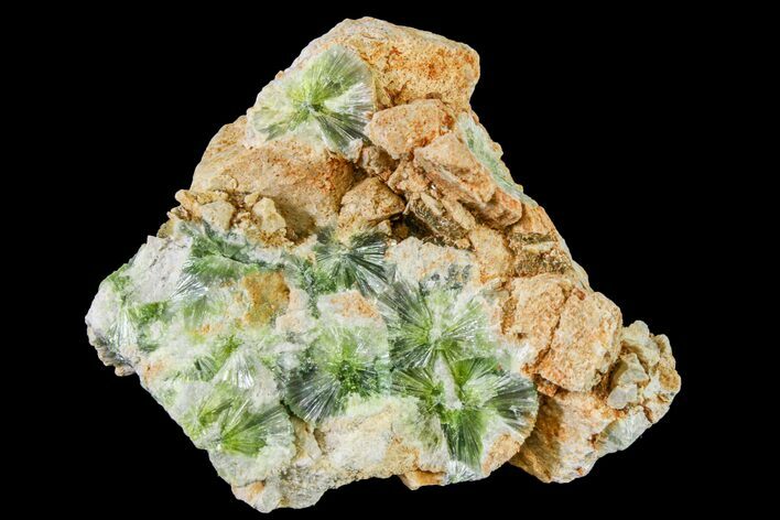 Radiating, Green Wavellite Crystal Aggregation - Arkansas #163076